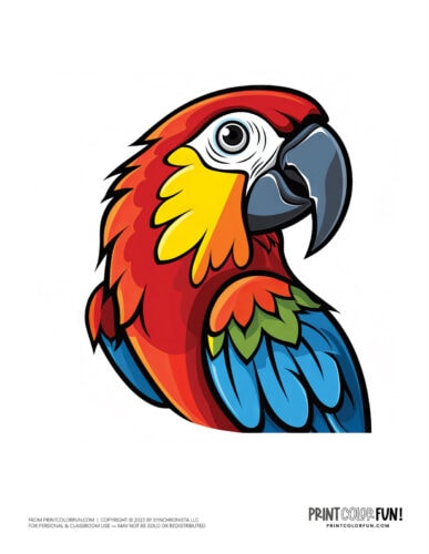 Cute colorful parrot clipart from PrintColorFun com (8)