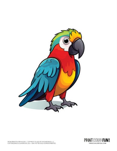 Cute colorful parrot clipart from PrintColorFun com (9)