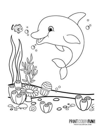 Cute dolphin under the sea printable to color
