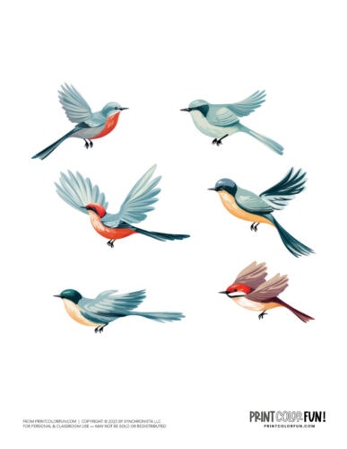 Cute flying bird clipart designs from PrintColorFun com (1)