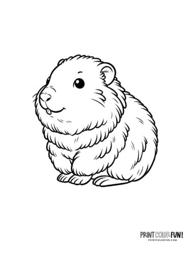 Cute groundhog coloring page from PrintColorFun com