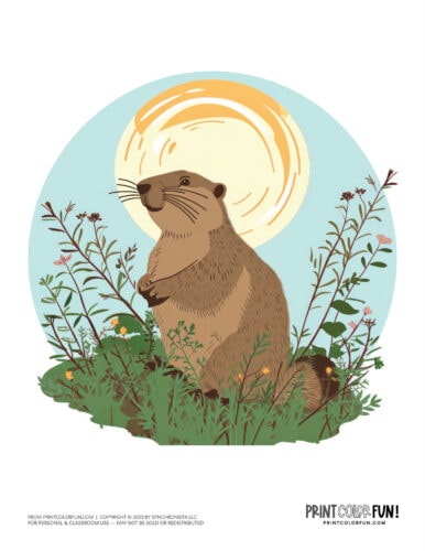 Cute groundhog woodchuck clipart in color from PrintColorFun com' (4)