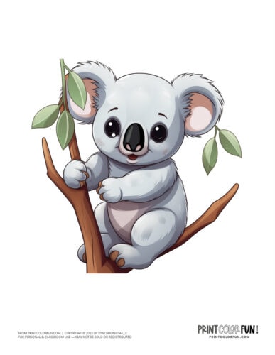 Cute koala color clipart from PrintColorFun com 1