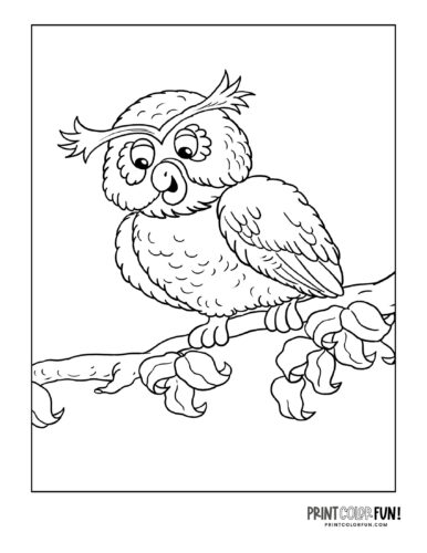 Cute owl coloring page from PrintColorFun com (1)