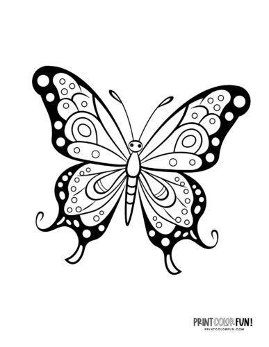 Cute papillon butterfly coloring page - PrintColorFun com