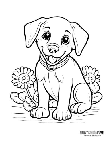 Cute puppy coloring page - clipart from PrintColorFun com 5