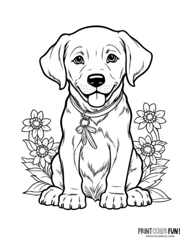Cute puppy coloring page - clipart from PrintColorFun com 6