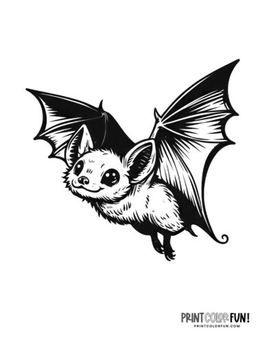 Cute realistic bat coloring page from PrintColorFun com