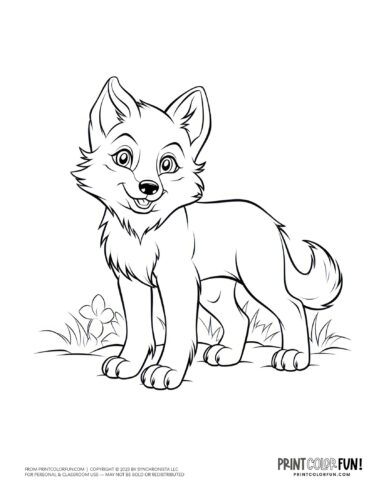 Cute wolf coloring page clipart from PrintColorFun com (3)