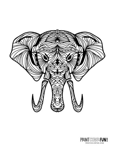 Decorative elephant coloring pages (2)