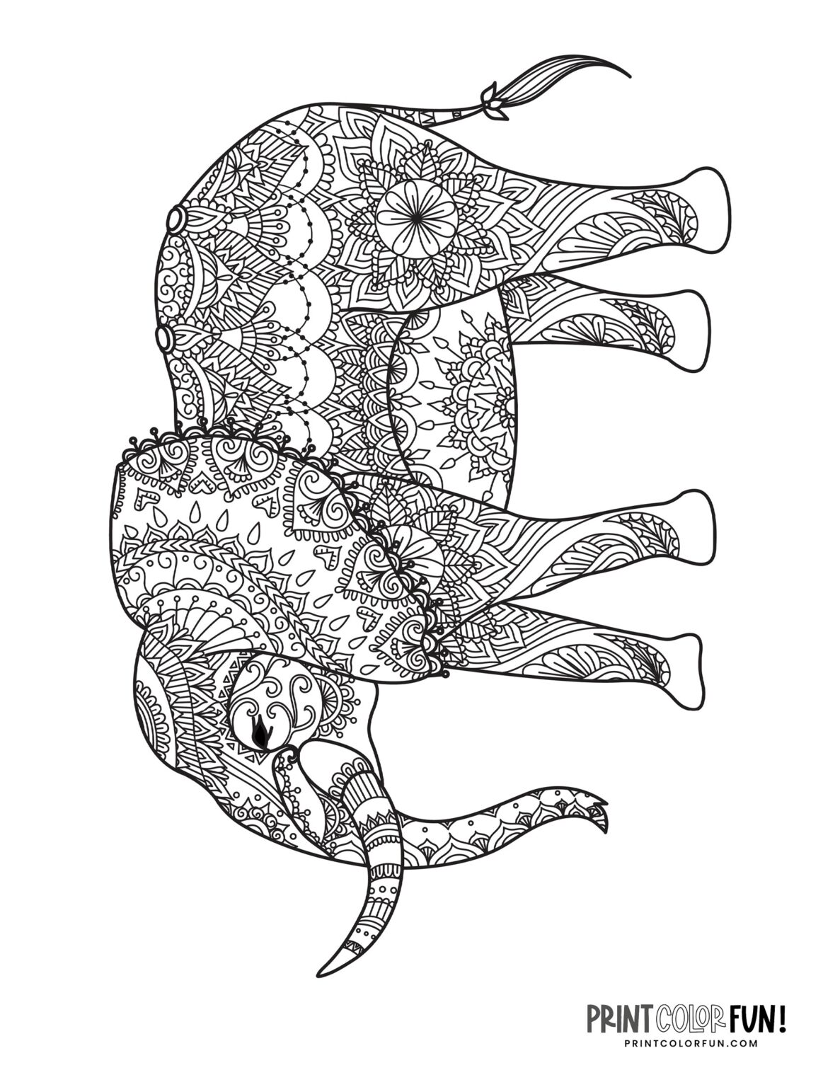 8 elephant adult coloring pages that are decorative & detailed, at