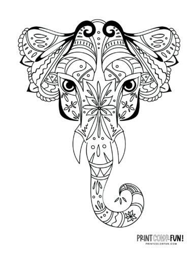 elephant face coloring page