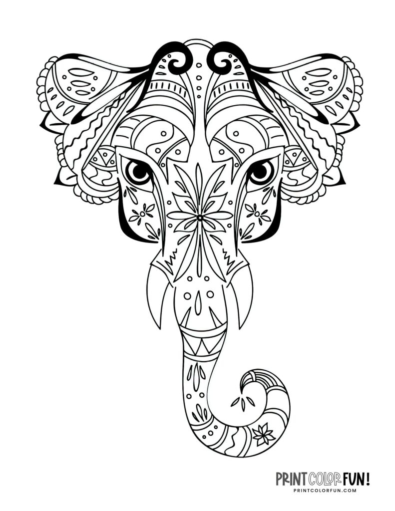 8 elephant adult coloring pages that are decorative & detailed, at ...