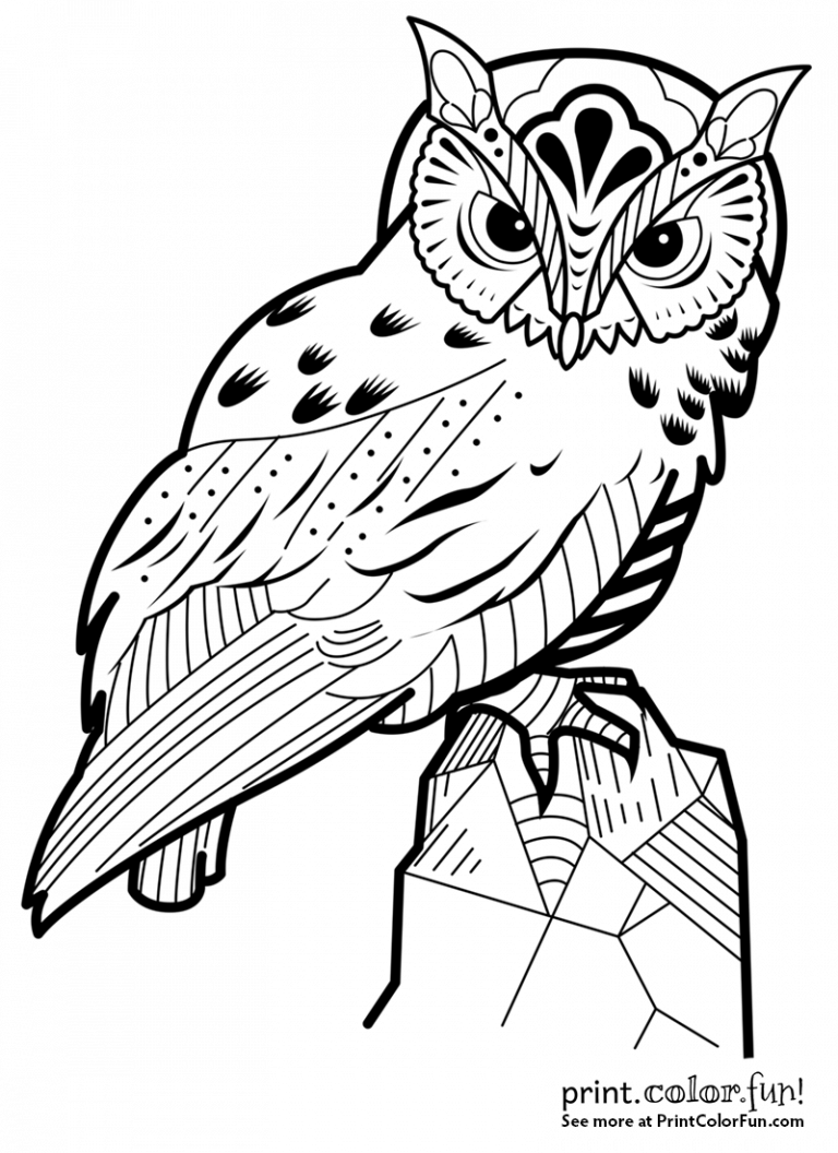 owl pictures to print and color