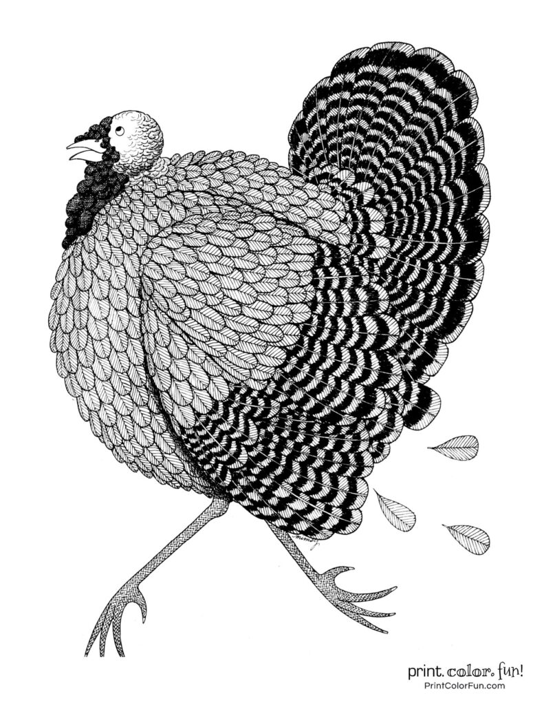 24 terrific Thanksgiving turkey coloring pages for some free printable ...