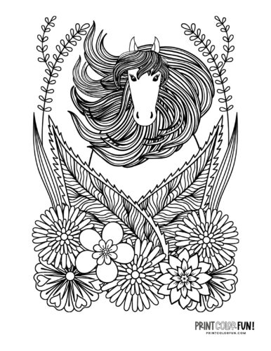 Detailed horse adult coloring page from PrintColorFun com (2)