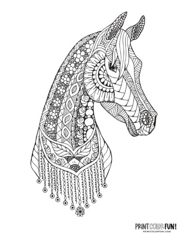 Detailed horse adult coloring page from PrintColorFun com (3)