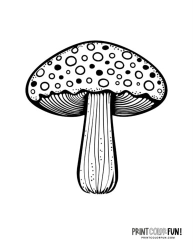 Detailed mushroom coloring page from Print Color Fun (6)