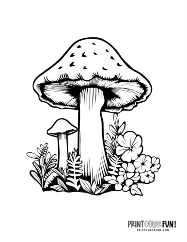 Detailed mushroom coloring page from Print Color Fun (7)
