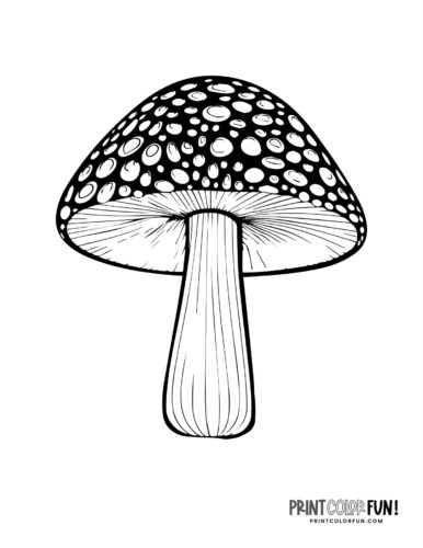 Detailed mushroom coloring page from Print Color Fun (8)