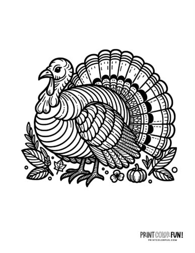 Detailed realistic turkey Thanksgiving coloring