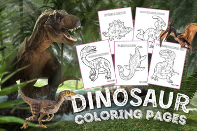 Dinosaur coloring pages and activities at PrintColorFun com