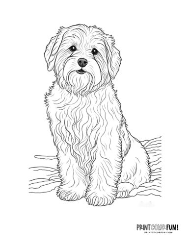 Dog coloring page - clipart from PrintColorFun com 01