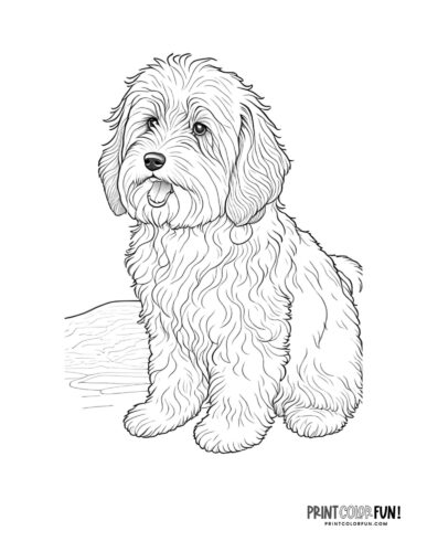 Dog coloring page - clipart from PrintColorFun com 02