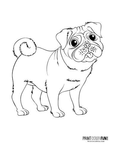 Dog coloring page - clipart from PrintColorFun com 03