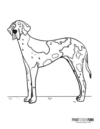 Dog coloring page - clipart from PrintColorFun com 05