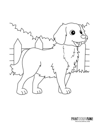 Dog coloring page - clipart from PrintColorFun com 08