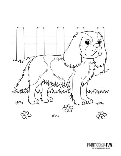 Dog coloring page - clipart from PrintColorFun com 09