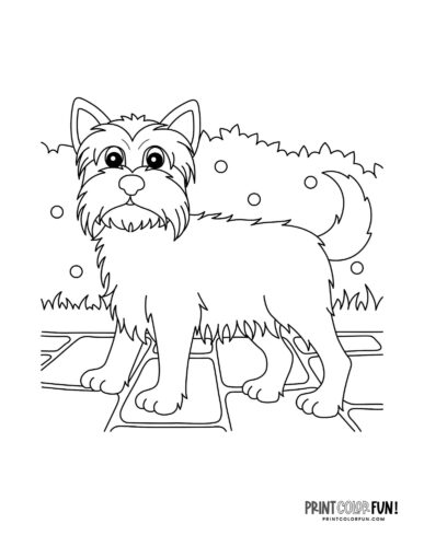 Dog coloring page - clipart from PrintColorFun com 11