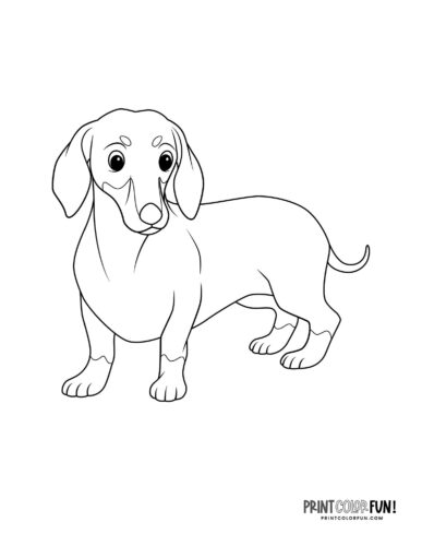 Dog coloring page - clipart from PrintColorFun com 12