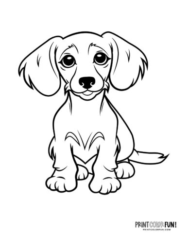 Dog coloring page - clipart from PrintColorFun com 16