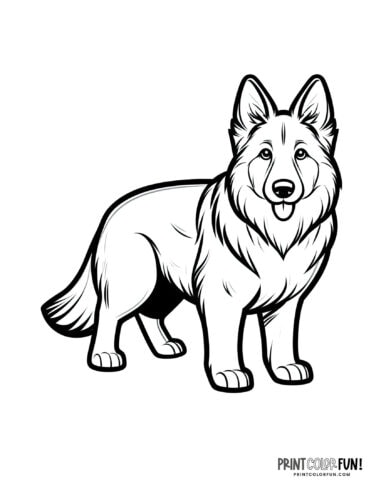 Dog coloring page - clipart from PrintColorFun com 17