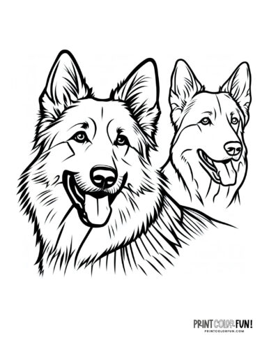 Dog coloring page - clipart from PrintColorFun com 18