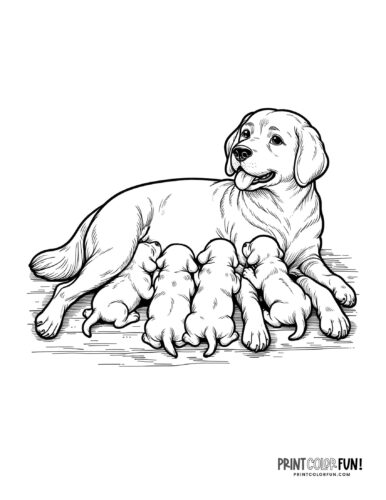 Dog with new puppies coloring page at PrintColorFun com 1
