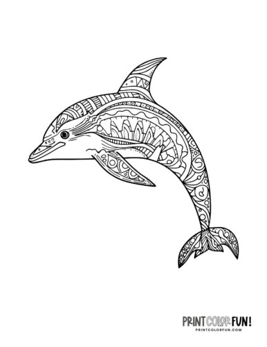 Dolphin zen doodle-style adult coloring book page (1)