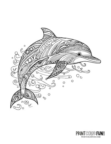 Dolphin zen doodle-style adult coloring book page (2)