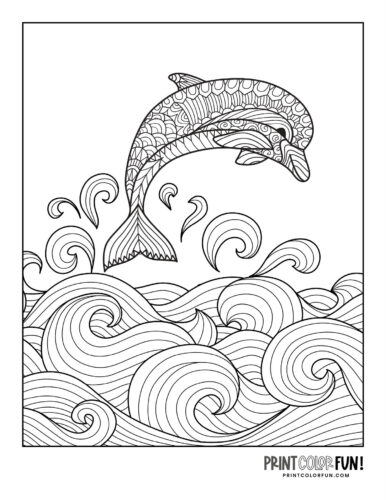 Dolphin zen doodle-style adult coloring book page (3)