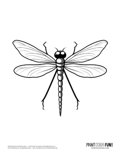 Dragonfly coloring page clipart from PrintColorFun com (1)