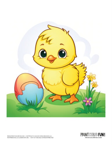 Easter chicks clipart drawing from PrintColorFun com (5)
