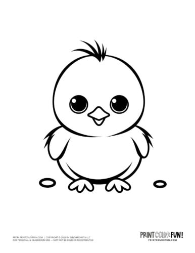 Easter chicks coloring page clipart drawing from PrintColorFun com (9)