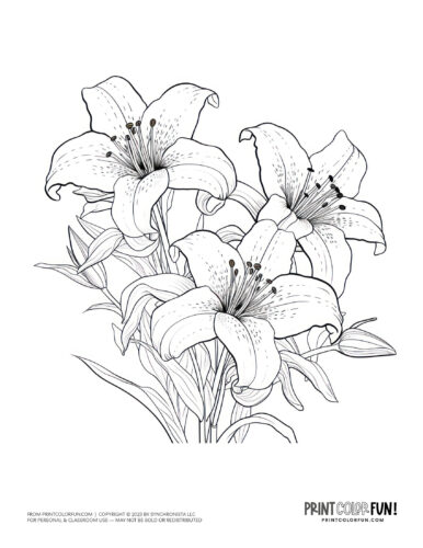 Easter flower coloring pages drawings from PrintColorFun com (3)