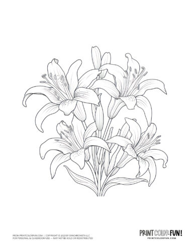 Easter flower coloring pages drawings from PrintColorFun com (4)