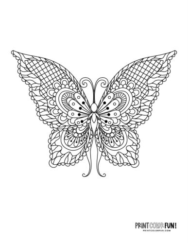 Elegant thin line butterfly coloring page - PrintColorFun com