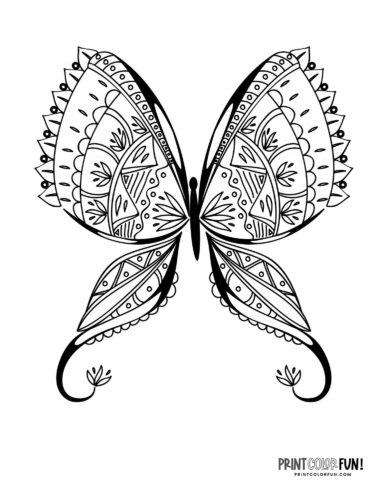 Exotic butterfly coloring page - PrintColorFun com