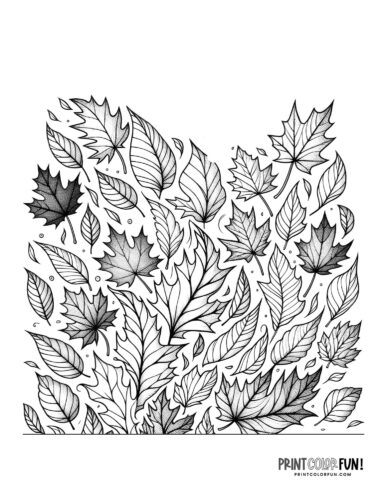 Fall leaves blowing coloring page from PrintColorFun com