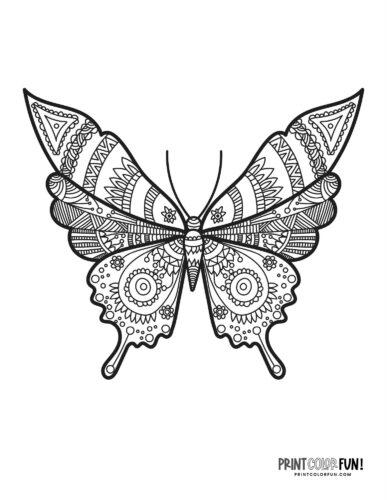 Fancy butterfly coloring page - PrintColorFun com